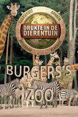 Burgers’ Zoo: Drukte In De Dierentuin poster