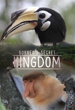 Poster for Borneo's Secret Kingdom