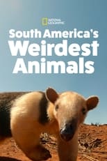 Poster for South America's Weirdest Animals