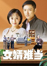 女婿难当 poster