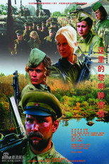 这里的黎明静悄悄 poster