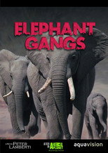 Gangland Killers (2014)