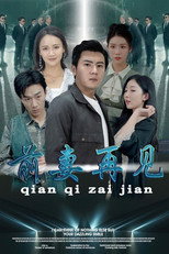 前妻再见 poster