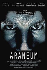 Poster for Araneum 