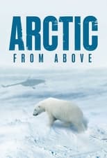 Poster for Arctic From Above