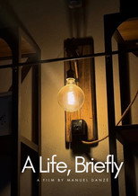 A Life, Briefly