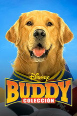 Buddy: Super Estrella - Colección