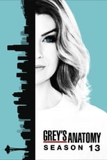 Poster for Grey's Anatomy Season 13