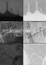 Poster for Yes No Maybe Maybe Not