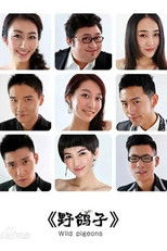 野鸽子 (2012) poster