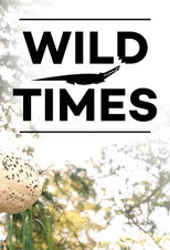 Wild Times poster