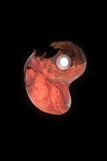 Vénus Victrix poster