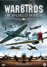 Warbirds of World War II poster