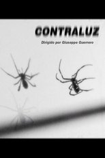 Contraluz poster
