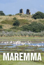 Maremma - Italiens wilde Schönheit poster