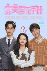 完美男友手册 poster