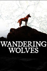 Wandering Wolves poster