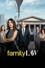 Poster for Family Law Season 1