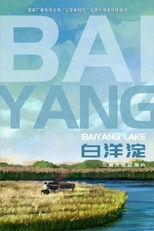 白洋淀 poster