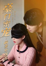 豪门蜜宠：前妻更风光 poster