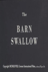 The Barn Swallow poster