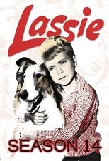 Poster for Lassie Season 14