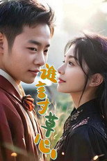 谁言寸草心 poster