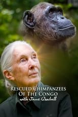 Poster for Rescued Chimpanzees of the Congo with Jane Goodall Season 1