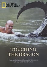 Poster for Touching the Dragon 