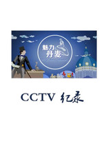 魅力丹麦 poster