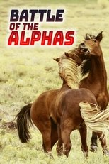 Battle of the Alphas poster