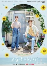 고물상 미란이