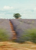 La Mounine ou note après coup sur un ciel de Provence