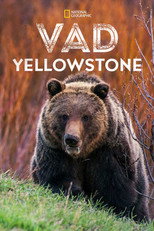 Vad Yellowstone