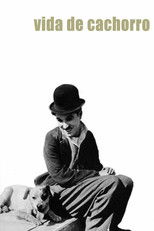 Uma Vida de Cão