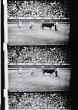 Poster for Corrida