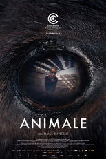 Animale