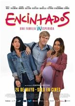 Poster di Encintados