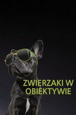 Zwierzaki w obiektywie