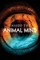 Poster for Inside the Animal Mind