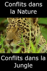 Conflits dans la Nature – Conflits dans la Jungle poster