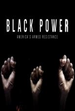 Poster for Black Power: America's Armed Resistance 