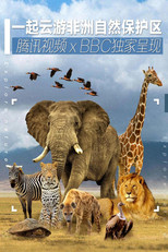 一起云游非洲自然保护区 poster