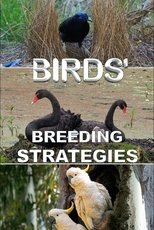 Poster for Birds' Breeding Strategies