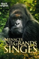 Poster for En danger : menaces sur les grands singes - BrutX