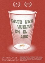 Take a Spin in the Air poster movie