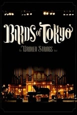 Poster for Birds of Tokyo - Broken Strings Tour 