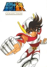 Saint Seiya Collection