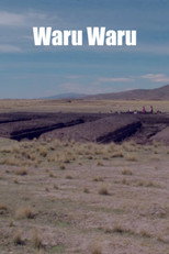 Waru Waru