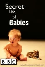 Poster for Secret Life of Babies